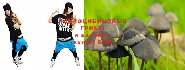 синтетический гашиш Ладушкин