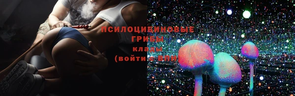 крисы Лабытнанги