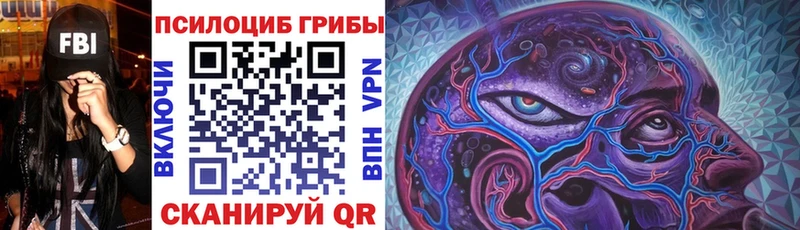 где можно купить   Сочи  shop какой сайт  Галлюциногенные грибы прущие грибы 