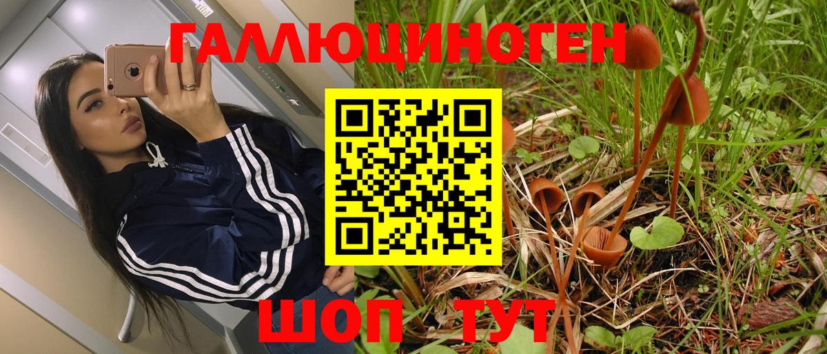 где продают   Вход с VPN  Сочи  Галлюциногенные грибы мухоморы 